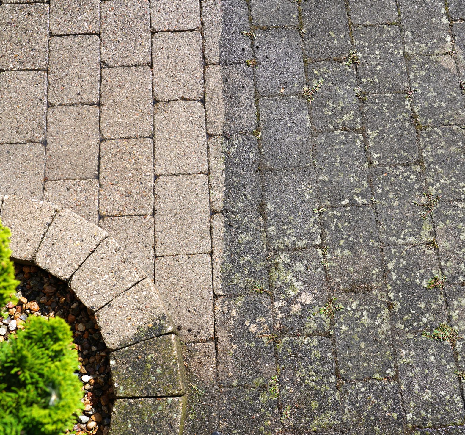Brick pavers cleaned