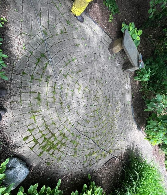 Brick
paver before restoration
