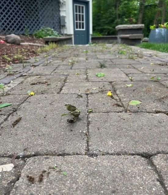Patio
pavers after restoration